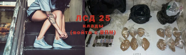 ГАЛЛЮЦИНОГЕННЫЕ ГРИБЫ Волосово