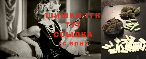 МДПВ Верея