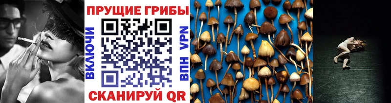 Галлюциногенные грибы мицелий  сколько стоит  Питкяранта 