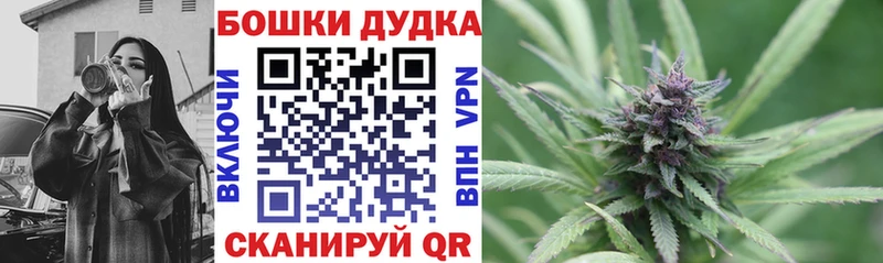 Бошки марихуана THC 21%  kraken зеркало  Питкяранта  где найти  